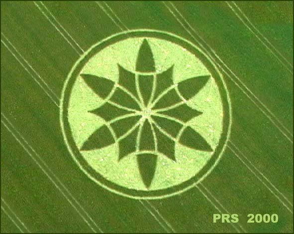 http://www.joecool.it/Joecool/crop_circles/images/crop145.jpg