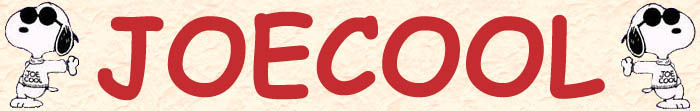torna alla home page