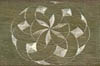 71